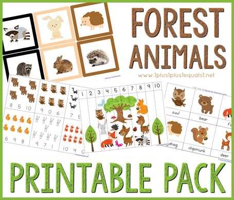 learn  forest animals   printable pack lesson plans