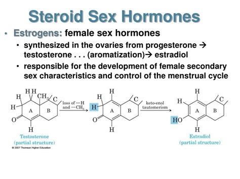 Ppt Steroid Hormones Powerpoint Presentation Free Download Id 5620268