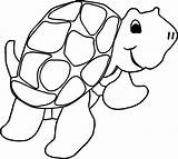 Tortoise Coloring Turtle Perfect Pages Wecoloringpage sketch template