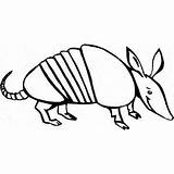 Armadillo Coloring Printable Pages Animals Color Animal Animalstown Choose Board sketch template
