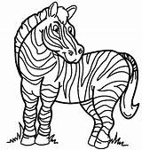 Zebra Coloring Cartoon Pages Drawing Zebras Color Clipart Printable Book Line Animals Cliparts Happy Kids Animal Coloringpagebook Use Getdrawings Print sketch template