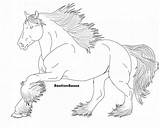 Percheron Clydesdale Foal sketch template