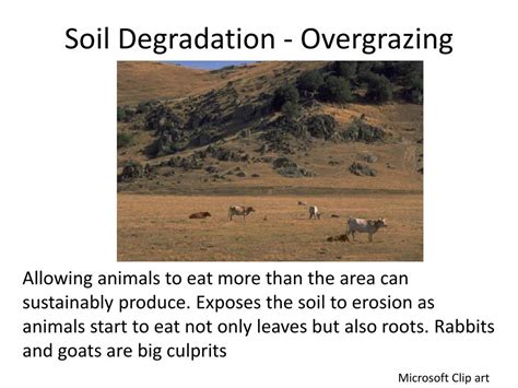 soil system powerpoint    id