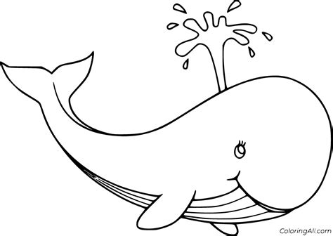 blue whale coloring pages coloringall