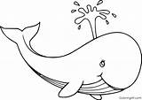 Whale Printable Spouting sketch template