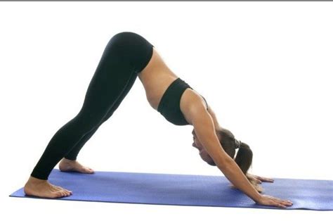 pin  yoga poses