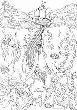 Erwachsene Whale Adultos Ausmalbilder Favoreads Meerjungfrau Malvorlagen Ausdrucken Erwachsenen Herbst Mandalas Sheets Ausmalen Mandala Drucken Auswählen sketch template