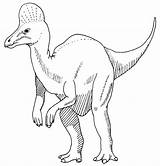 Corythosaurus Dinosaurier Interesse sketch template