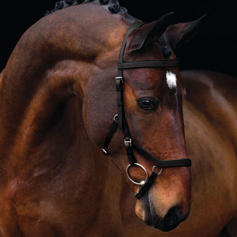 micklem competition bridle rj trading