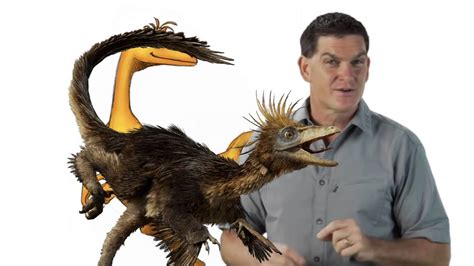 dinosaur discoveries troodon youtube