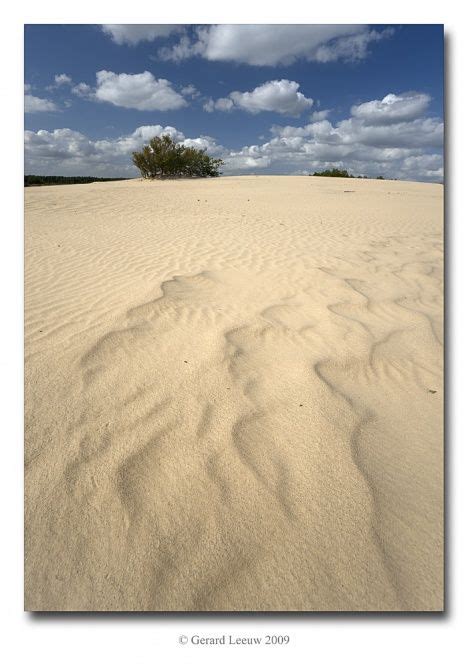 stuifzand duin dagje uit