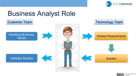 What Are The Roles And Responsibilities Of Business Analyst Techcanvass