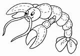 Crostacei Disegni sketch template