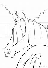 Pferde Pferd Ausmalbild sketch template