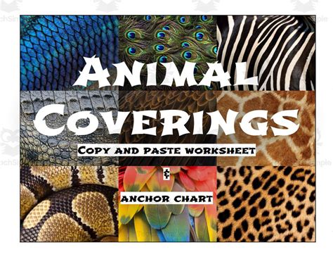 cut  paste animal coverings  teach simple