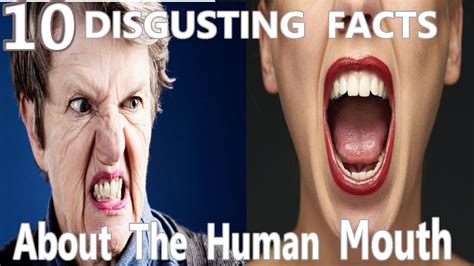 10 disgusting facts about the human mouth youtube