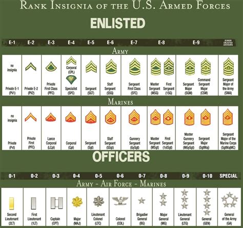 show   military ranks militaryimagesnet