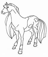 Horseland Coloring Calypso Stable Elfkena Bw Sketch sketch template