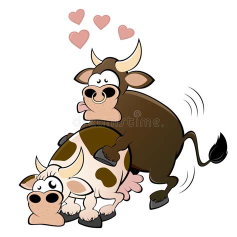 Cow And Bull Having Sex Stock Vector Illustration Of