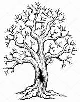 Arbol Arboles Dibujar sketch template