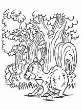 Coloring Forest Pages Printable Squirrel Color Skunk Natural Nature Animals Print Popular Funny sketch template