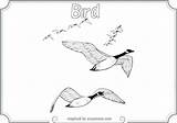 Coloring Migration Pages Designlooter 720px 5kb 1024 Bird sketch template