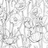 Logan Spector Spoonflower Designs Wallpaper Floral Coloring Book sketch template