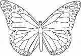 Butterfly Template Print Coloring Pages Printable Templates Symmetrical Clipart Symmetry Sketch Popular Library Coloringhome sketch template