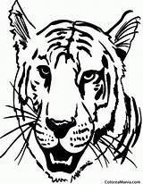 Tigre Colorear Selva sketch template