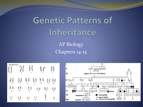 Ppt Ap Bio Thursday 3 17 11 Genetic Patterns Of