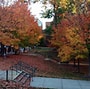 Image result for george mason