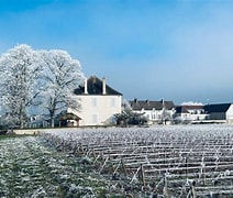 Image result for Amiot Guy Chassagne Montrachet Vergers