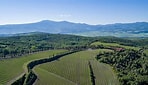 Image result for Poggio Antico Rosso di Montalcino