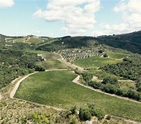 Image result for San Giuseppe Rosso di Montalcino Stella di Campalto