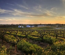 Image result for Andis Zinfandel Estate