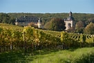 Image result for Schloss Vollrads Riesling Kabinett trocken