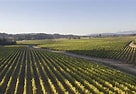 Image result for Rodney Strong Merlot Alexander Valley