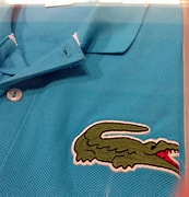 Image result for LACOSTE