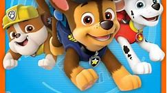 PAW Patrol: Volume 5 Episode 11 Pups Save a School Bus/Pups Save the Songbirds