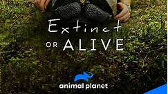 Extinct or Alive: Season 2 Episode 6 The Hidden Turtle of Vietnam
