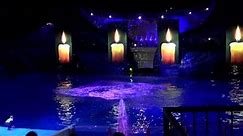 Shamu Christmas Miracles 2012 SeaWorld Orlando