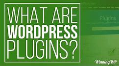 What Are WordPress Plugins - And How To Use Them?