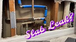 Slab Leak? Re Routing a water line through attic.