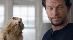 Mark Wahlberg and a Prairie Dog Try to Woo Wireless Customers Back to AT&T