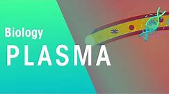 Plasma | Physiology | Biology | FuseSchool
