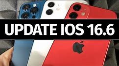 How to Update iPhone 12 to iOS 16.6 - iPhone 12 mini, iPhone 12 Pro, iPhone 12 Pro Max