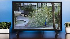 VIZIO 24 inch D Series Full HD 1080p Smart TV Review