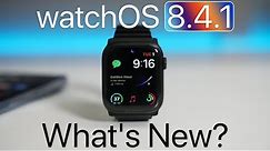 watchOS 8.4.1 is Out! - What's New?