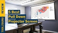 Best Pull Down Projector Screen On 2024