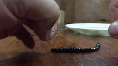 Rigging - Two Hook Finesse Worm Using a Sewing Needle
